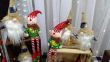 Load image into Gallery viewer, Limited Edition Holiday Characters Freeze-Dried Candy Jars
